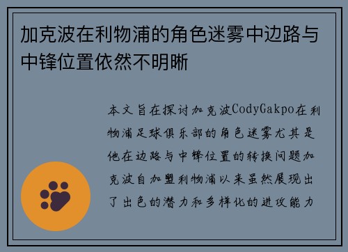加克波在利物浦的角色迷雾中边路与中锋位置依然不明晰 加克波在利物浦的角色迷雾中边路与中锋位置依然不明晰